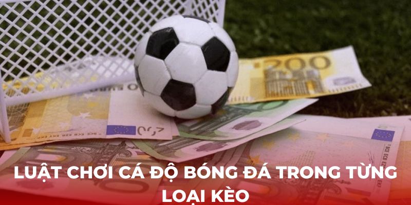 Luật chơi cá độ bóng đá trong từng loại kèo